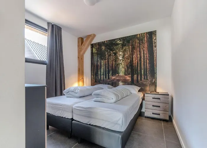 Thatched With Private Terrace Nr 670 Baarle-Nassau